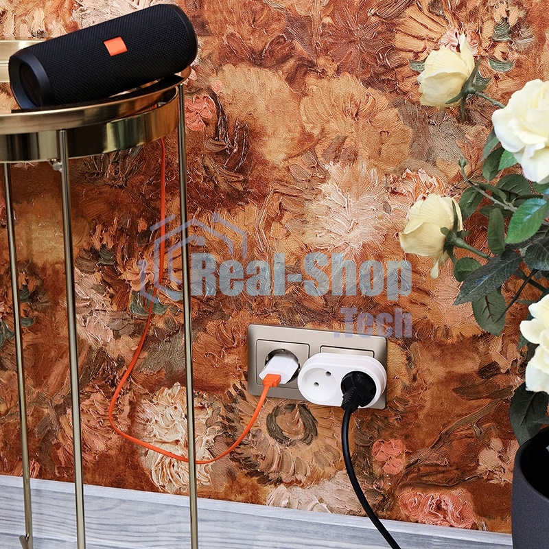 Двойник электрический Rexant 6А без заземления, белый