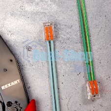 Соединительная клемма многоразовая Rexant 2-х проводная, прозрачная (0,08-4 мм²), (10 шт.)