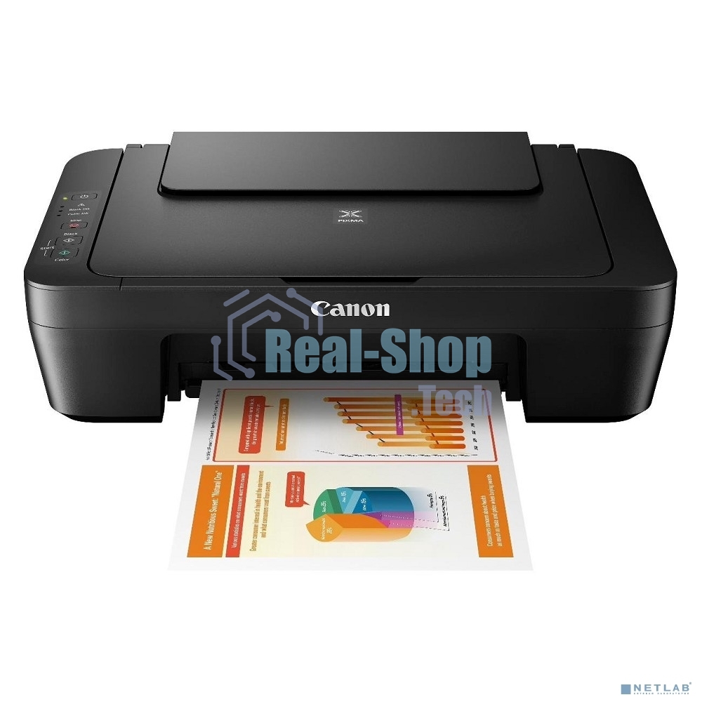 МФУ цветное Canon Pixma MG2570S (0727C012)