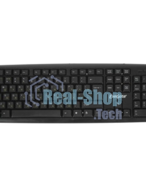 Клавиатура проводная ExeGate Professional Standard LY-405 (EX287138RUS), USB, черный