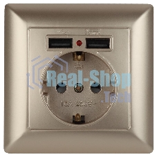 Розетка Intro P+E Schuko со шторками, 16А-250В + 2хUSB, СУ, Solo, шампань (10/100/2500) 4-410-04