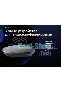 Микрофон Sber SDMIC-001