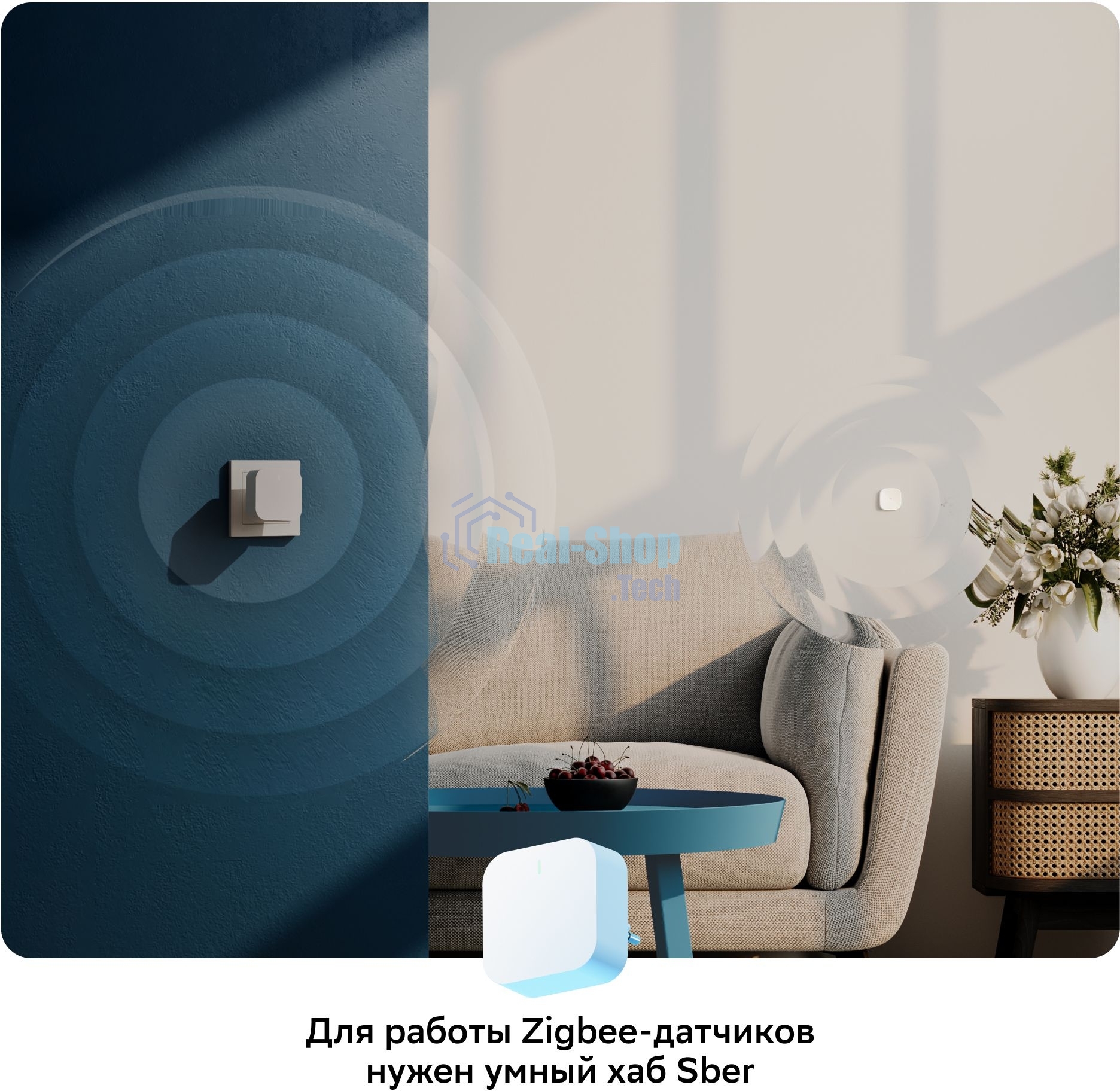 Комплект Sber SBDV-00068R