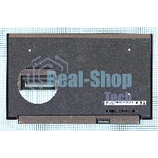 Матрица B156ZAN04.2