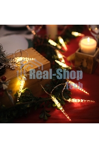 Гирлянда светодиодная Neon-night 