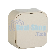 Выключатель 10A 1-клав., сл. кость Quteo