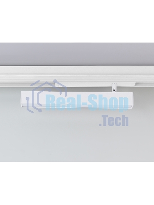 Управляемый светодиодный светильник для шинопровода Magnetic Ambrella light GL1331 WH белый IP20 18W 3000K-6400K 220V 120° 342*25*112 (Без ПДУ)