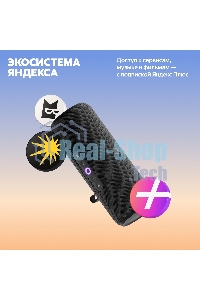 Умная колонка Yandex Стрит Алиса черный 30W 2.0 BT/Wi-Fi 10м 3300mAh (YNDX-00030BLK)