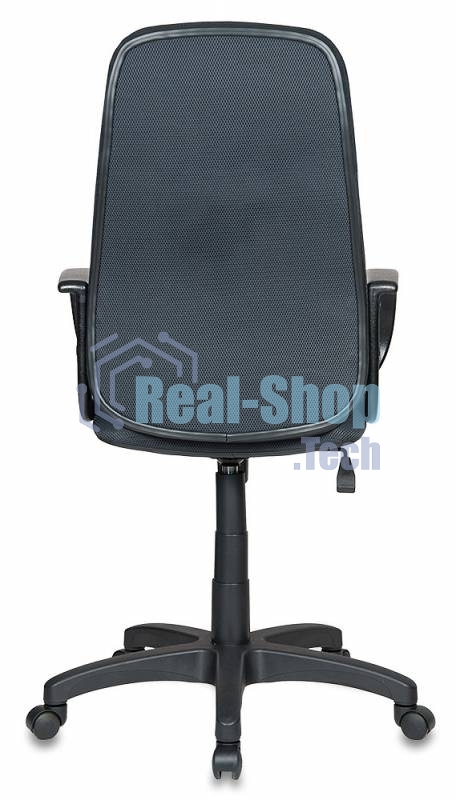 Кресло руководителя Бюрократ CH-808AXSN/TW-12 серый TW-12