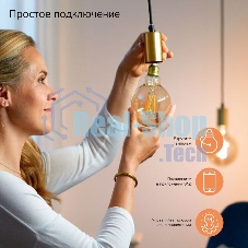 Лампа светодиодная Gauss филаментная Smart Home DIM+CCT E27 Diamond Golden 6,5 Вт 2000-5500К 1370112