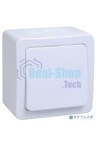 Выключатель 1-кл. ОП ГЕРМЕС PLUS 10А IP54 ВСп20-1-0-ГПБ проход. белый ИЭК EVMP12-K01-10-54-EC