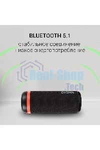 Колонка портатитвная Digma D-PS1521 черный 16W 2.0 BT 10м 1800mAh (PS1521B)
