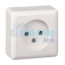 Розетка 1-м ОП Хит 10А IP20 без заземл. белый SchE RA10-131-B