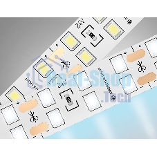 Светодиодная лента Ambrella light GS3603 2835 204Led/ 20W m/ 24V IP20 6500K/ 5000*14*1.2mm (2 конт.)