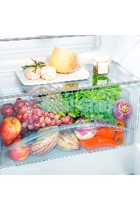 Холодильник Liebherr CTELE 2531-26 001 серебристый двухкамерный 189/44л морозилка сверху