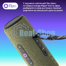 Умная колонка Yandex Стрит Алиса зеленый 30W 2.0 BT/Wi-Fi 10м 3300mAh (YNDX-00030GRN)