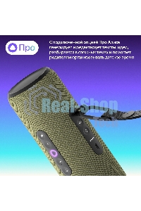 Умная колонка Yandex Стрит Алиса зеленый 30W 2.0 BT/Wi-Fi 10м 3300mAh (YNDX-00030GRN)