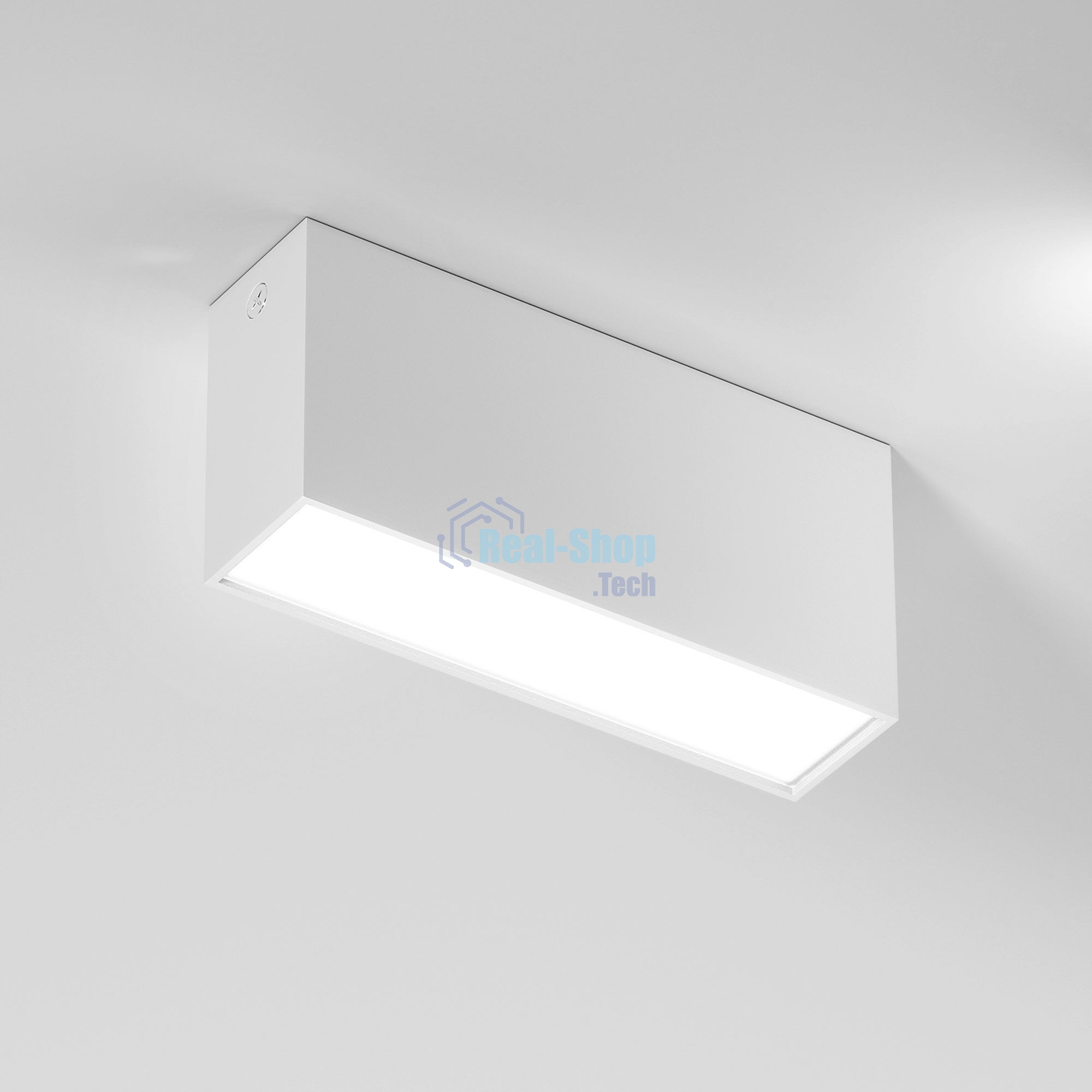25109/LED 10W 4000K / Светильник потолочный светодиодный / белый