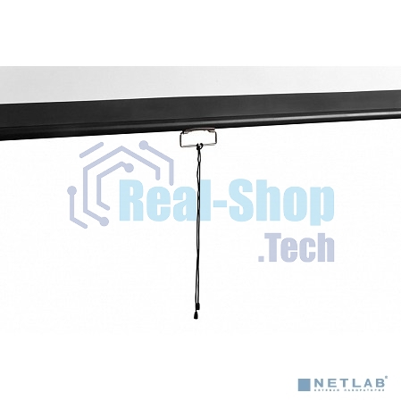 Экран 240x240см Digis Optimal-D DSOD-1107 1:1 настенно-потолочный рулонный
