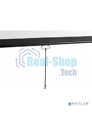Экран 240x240см Digis Optimal-D DSOD-1107 1:1 настенно-потолочный рулонный