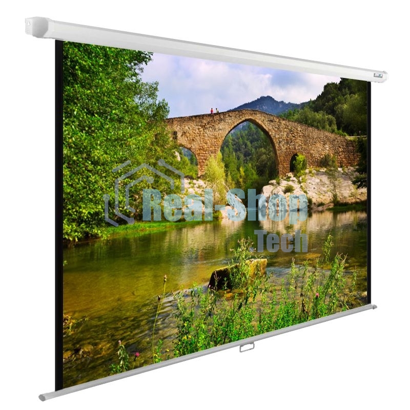 Экран Cactus 220x165 см WallExpert CS-PSWE-220x165-WT 1:1 настенно-потолочный рулонный белый