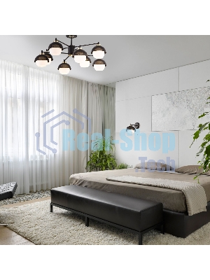 70106/8 / потолочный светильник / черный Smart