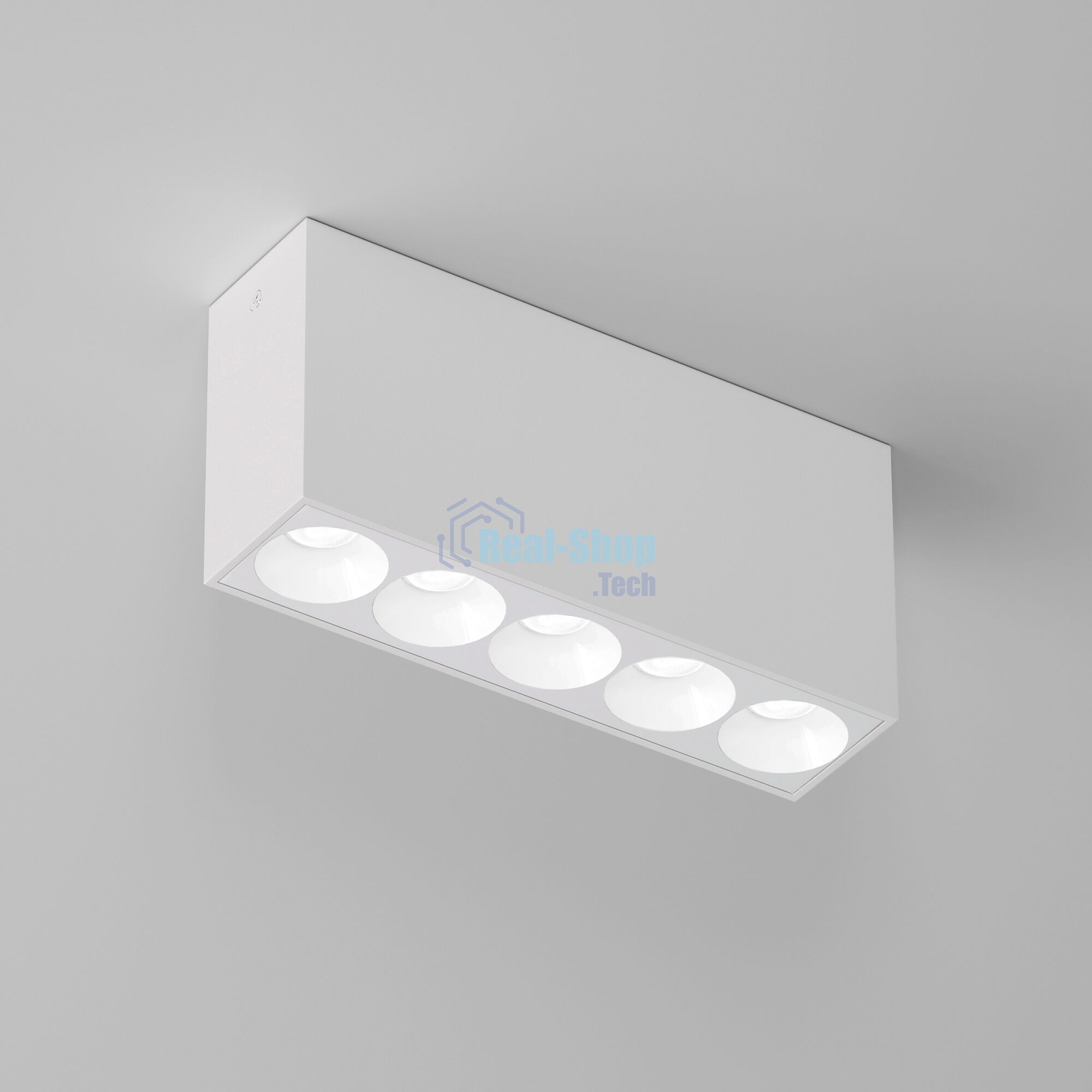 Светильник потолочный светодиодный 25108/LED 10W 4000K / белый