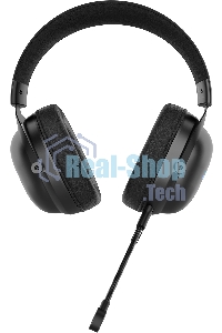 Гарнитура проводная с микрофоном Acer AHW122 черный 2.1м мониторные USB оголовье (ZL.HDSCC.01U)