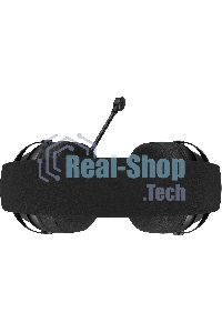 Гарнитура проводная с микрофоном Acer AHW122 черный 2.1м мониторные USB оголовье (ZL.HDSCC.01U)