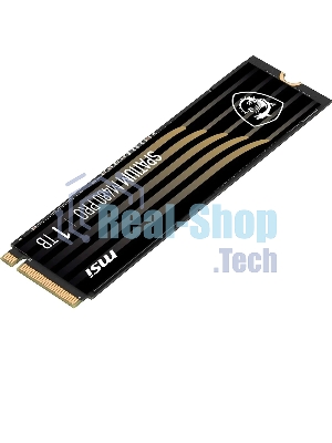 Накопитель SSD MSI SPATIUM M480 PRO, 1000Gb, M.2 2280, PCIe 4.0 x4, NVMe, R/W 7400/6000