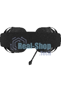 Гарнитура проводная с микрофоном Acer AHW122 черный 2.1м мониторные USB оголовье (ZL.HDSCC.01U)