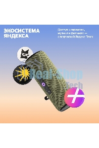 Умная колонка Yandex Стрит Алиса зеленый 30W 2.0 BT/Wi-Fi 10м 3300mAh (YNDX-00030GRN)