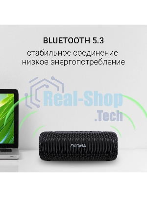 Колонка портативная Digma D-PS1524 черный 20W 2.0 BT 10м 2000mAh
