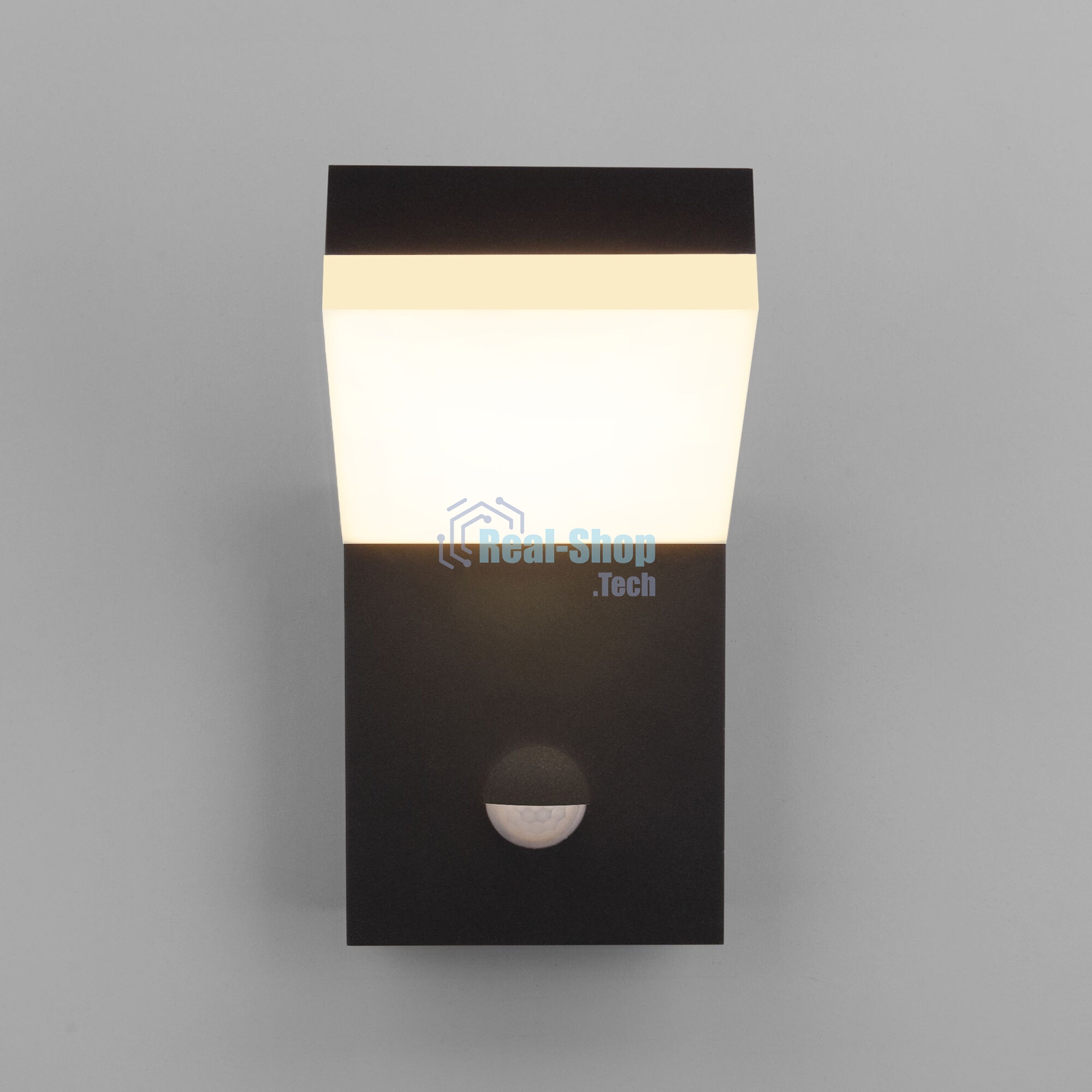 1541 TECHNO LED / Светильник садово-парковый со светодиодами с датчиком движения 3000K чёрный