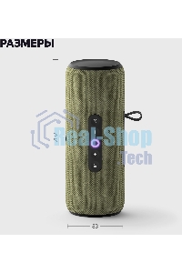 Умная колонка Yandex Стрит Алиса зеленый 30W 2.0 BT/Wi-Fi 10м 3300mAh (YNDX-00030GRN)