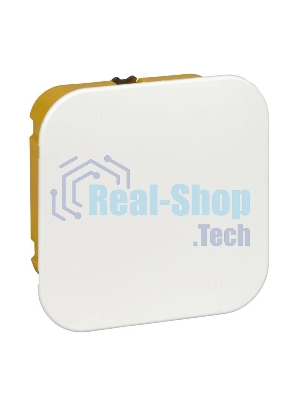 Коробка распр. СП 100х100х50 для г/к SchE IMT35161