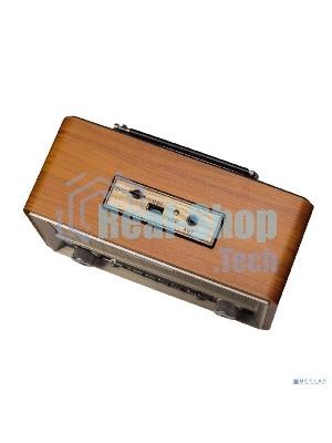 Радиоприемник Ritmix RPR-111 WOOD