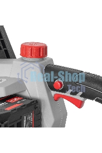 Пила цепная аккумуляторная СТАВР ПЦА-25/20