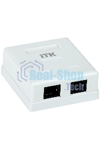 Настенная информационная розетка RJ45 8P8C, кат.5Е UTP, 2-порта, белая 