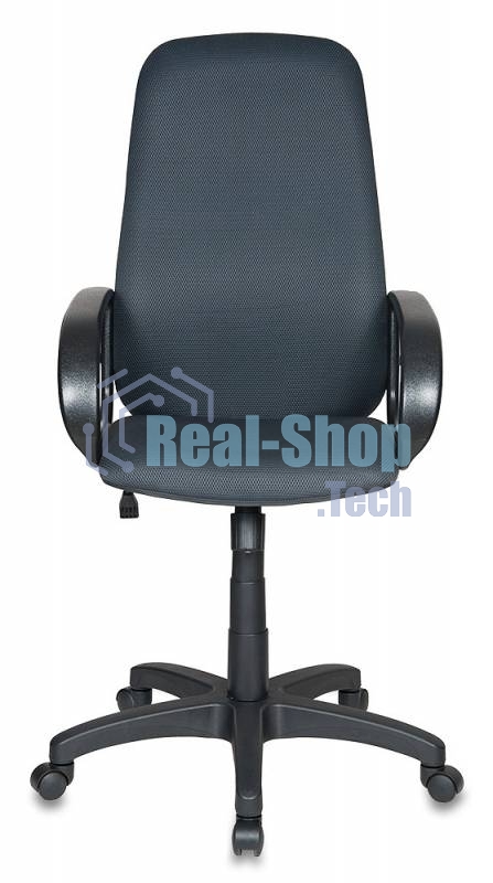 Кресло руководителя Бюрократ CH-808AXSN/TW-12 серый TW-12