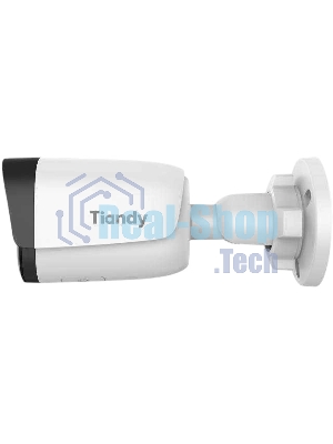 Камера видеонаблюдения IP Tiandy TC-C35WS 3ERB-28 2.8-2.8мм цв. корп.:белый
