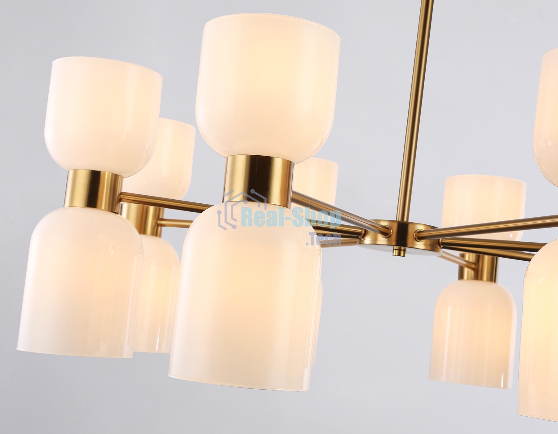Люстра Ambrella light LH56095/16 BS/FR латунь/белый матовый E14*16 max 40W D860*510