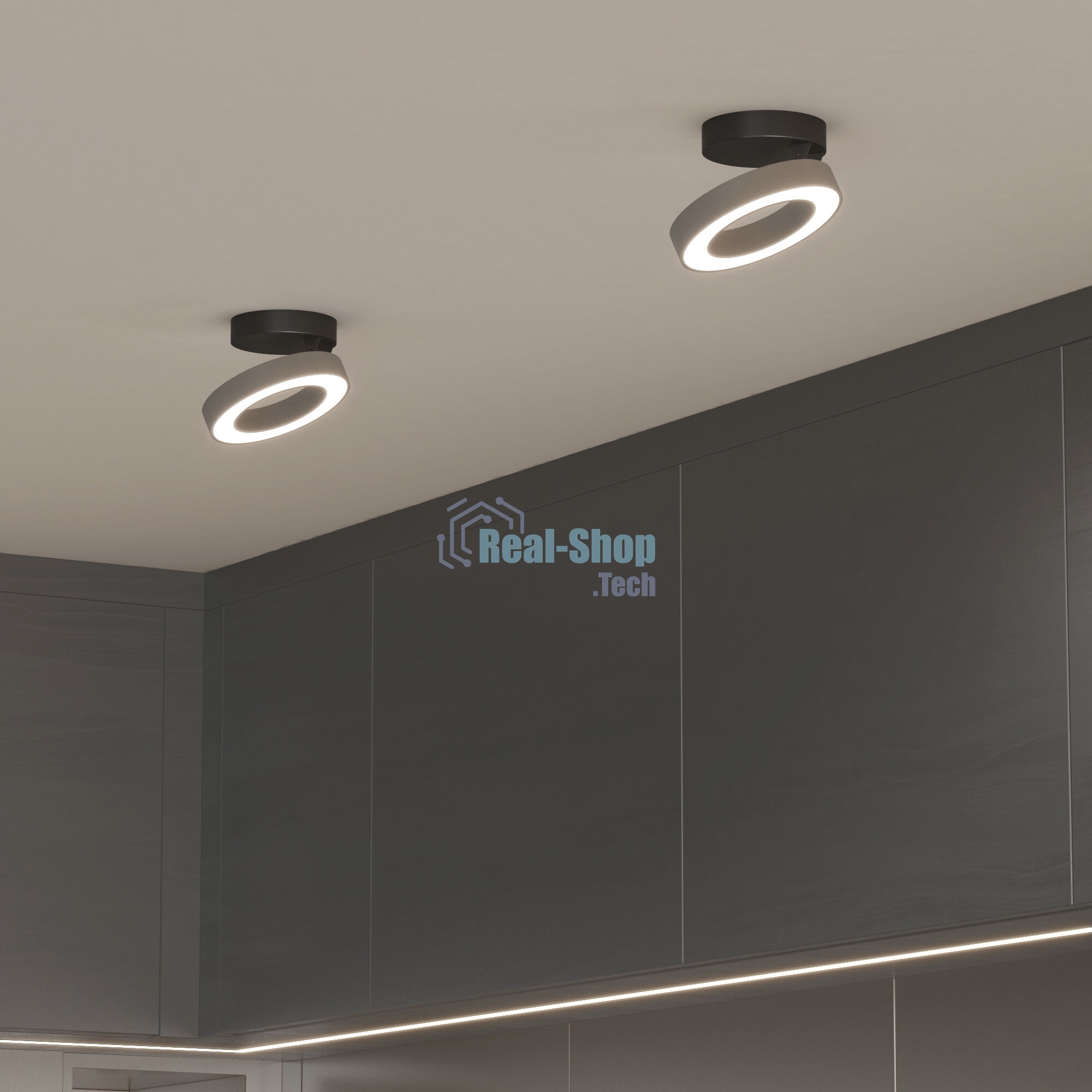 Spila серебро 12W 4200К (25105/LED)/Светильник накладной серебро