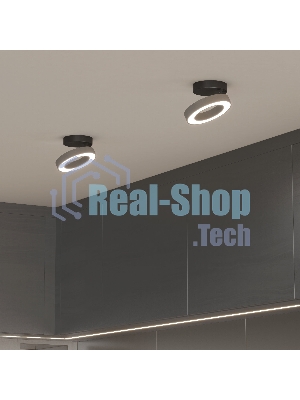 Spila серебро 12W 4200К (25105/LED)/Светильник накладной серебро