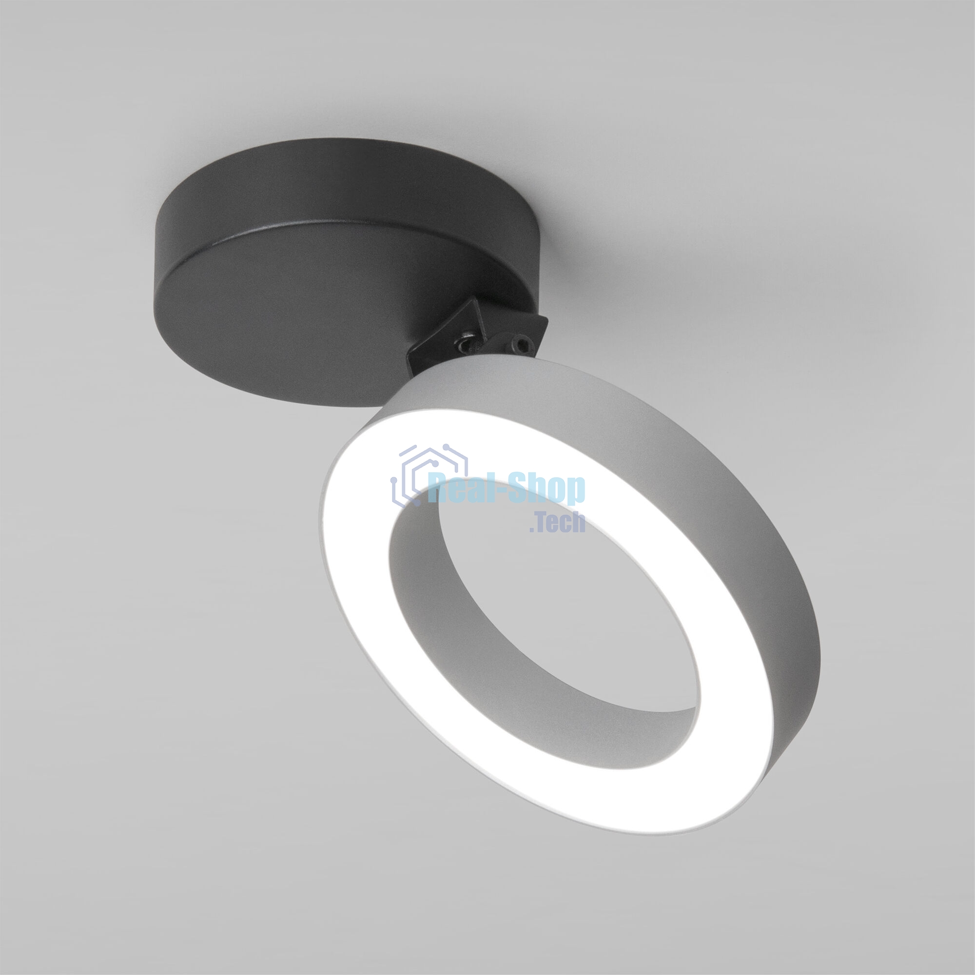 Spila серебро 12W 4200К (25105/LED)/Светильник накладной серебро