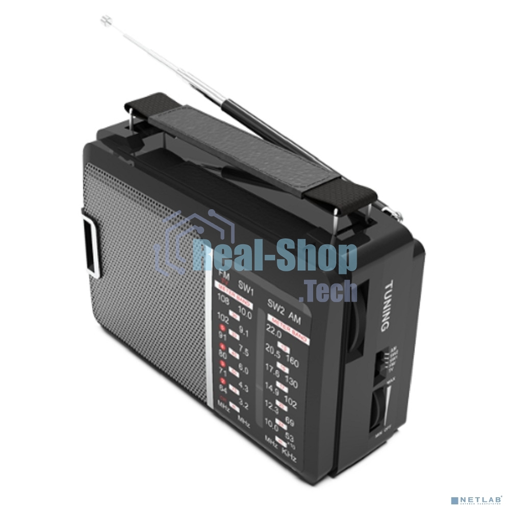 Радиоприемник Ritmix RPR-190