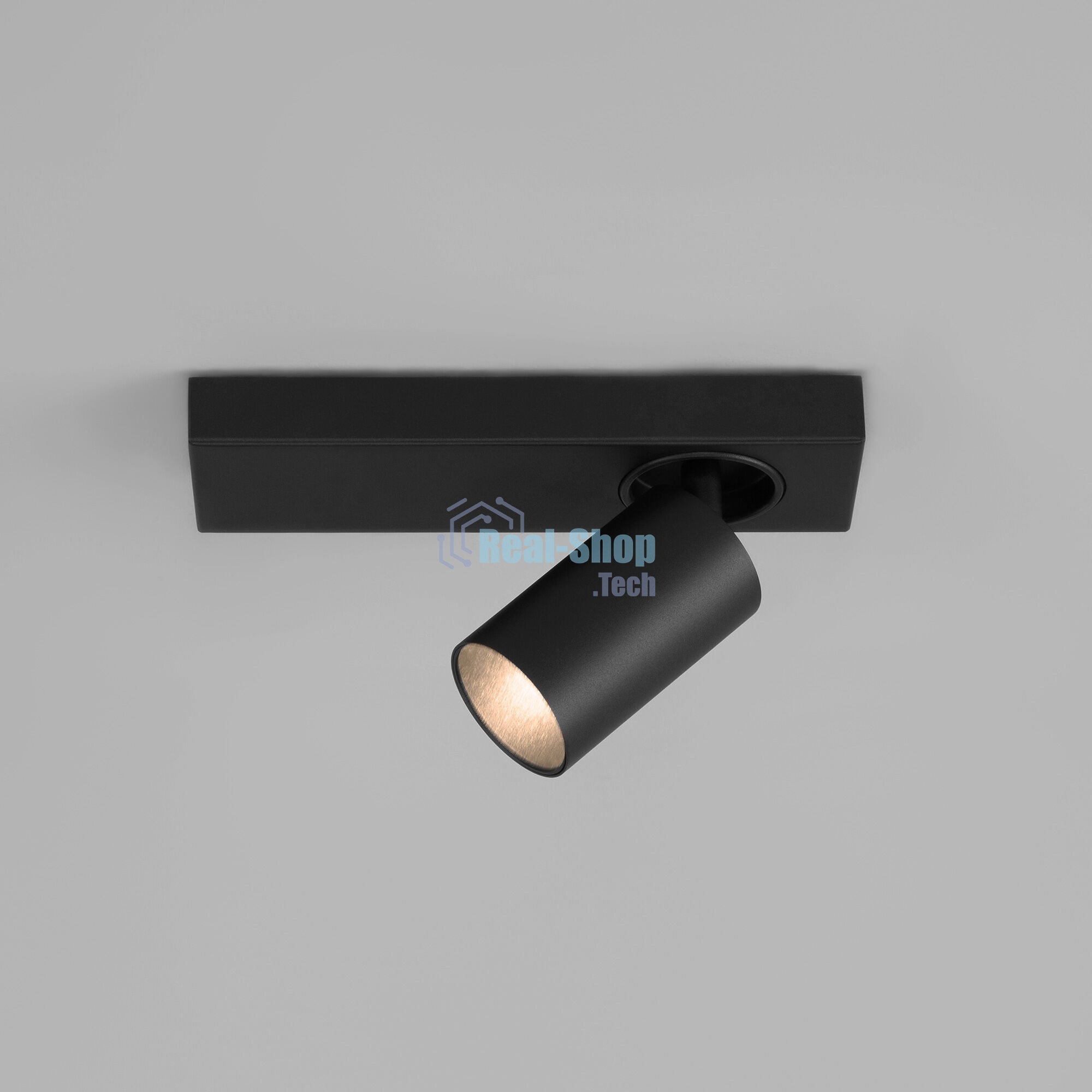 20139/1 LED / настенный светильник / черный