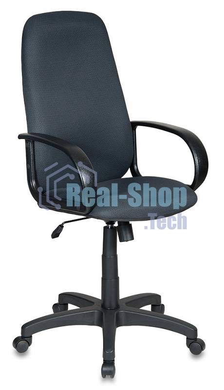 Кресло руководителя Бюрократ CH-808AXSN/TW-12 серый TW-12