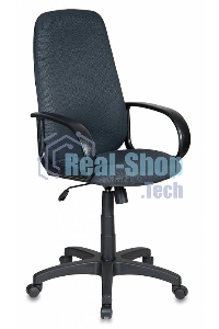 Кресло руководителя Бюрократ CH-808AXSN/TW-12 серый TW-12