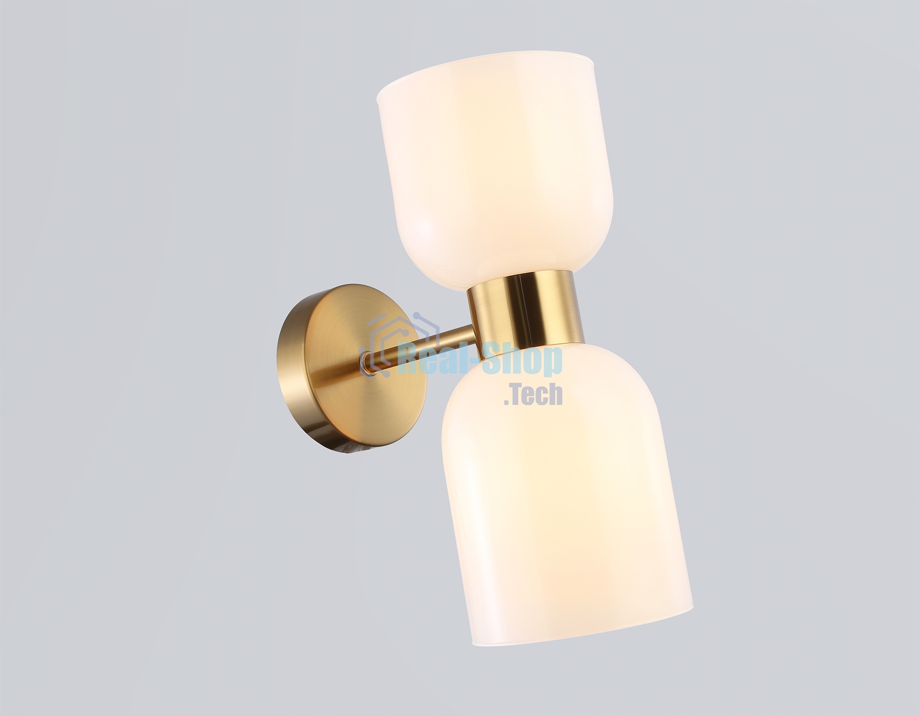 Настенный светильник Ambrella light LH56097/2 BS/FR латунь/белый матовый E14*2 max 40W 215*120*300